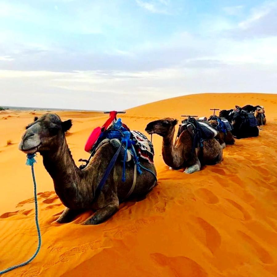 Bedouin Desert Camp Merzouga Bagian luar foto